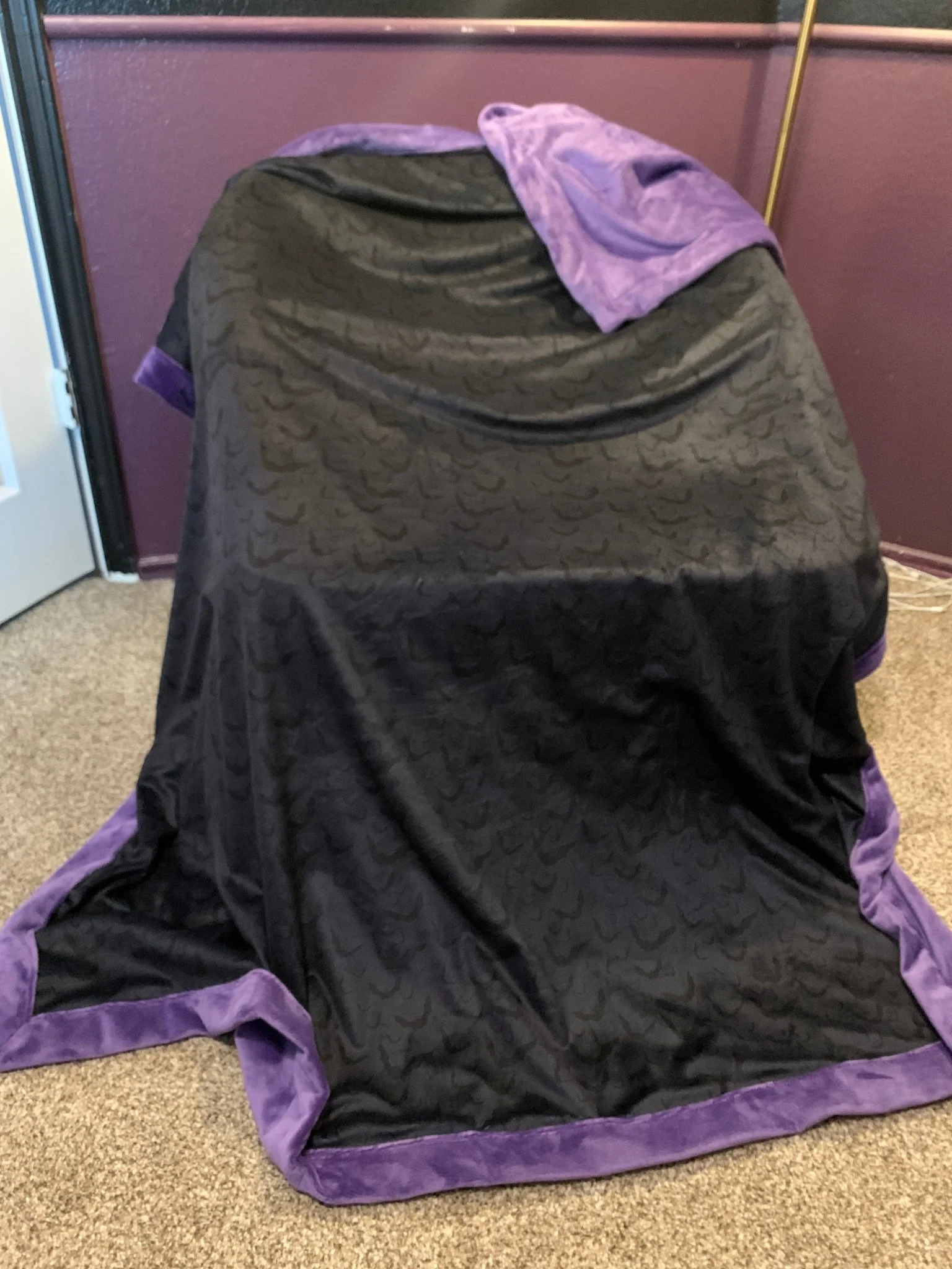 Custom Grownup Blankies - Nerdy & Fandom Collection, Minky Blanket - Image 45